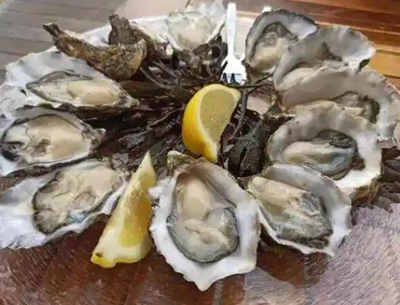 QQ_1771811435905.png