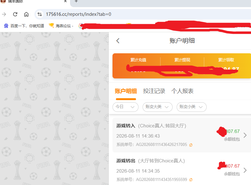 瑞丰国际资金图.png