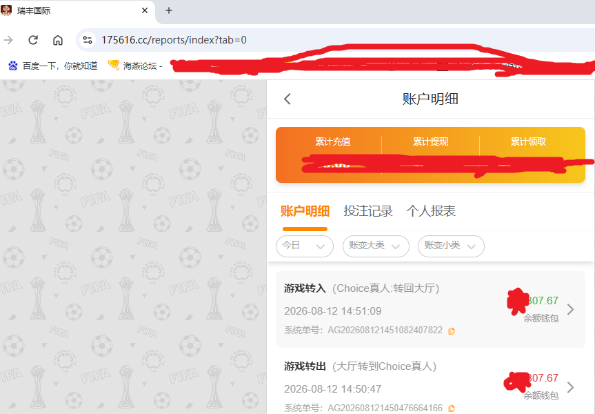 瑞丰国际.png