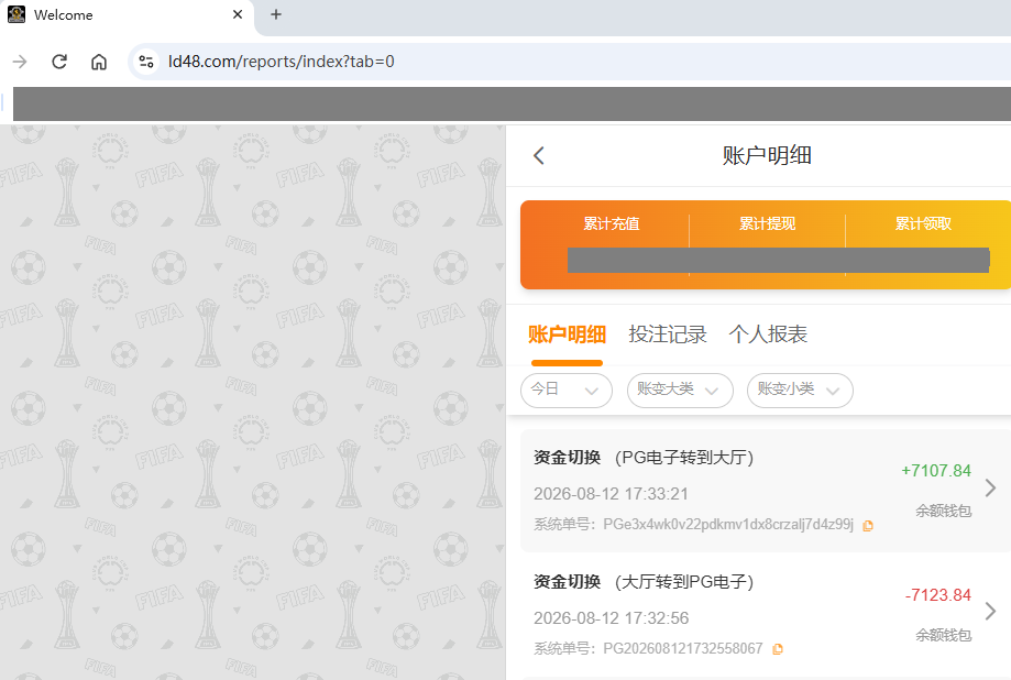 资金图3333.png